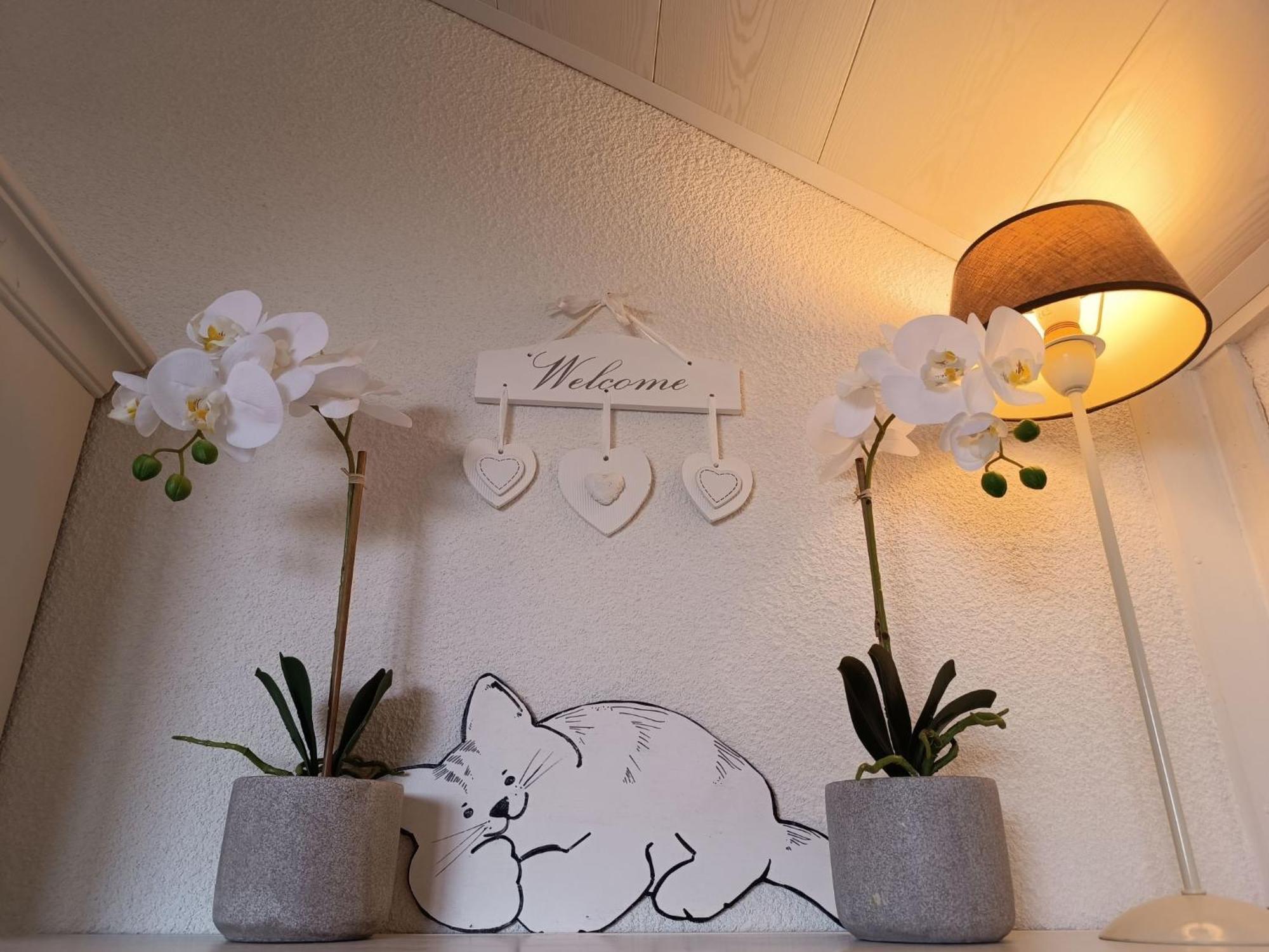 Apartment Luna By Interhome デ ハーン エクステリア 写真